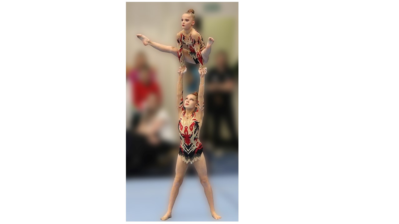 Gymnastics Competition Leotards | Charm’n Textiles gallery image 4